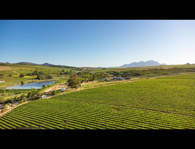 94HA FARM FOR SALE IN STELLENBOSCH FARMS